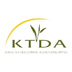 KTDA